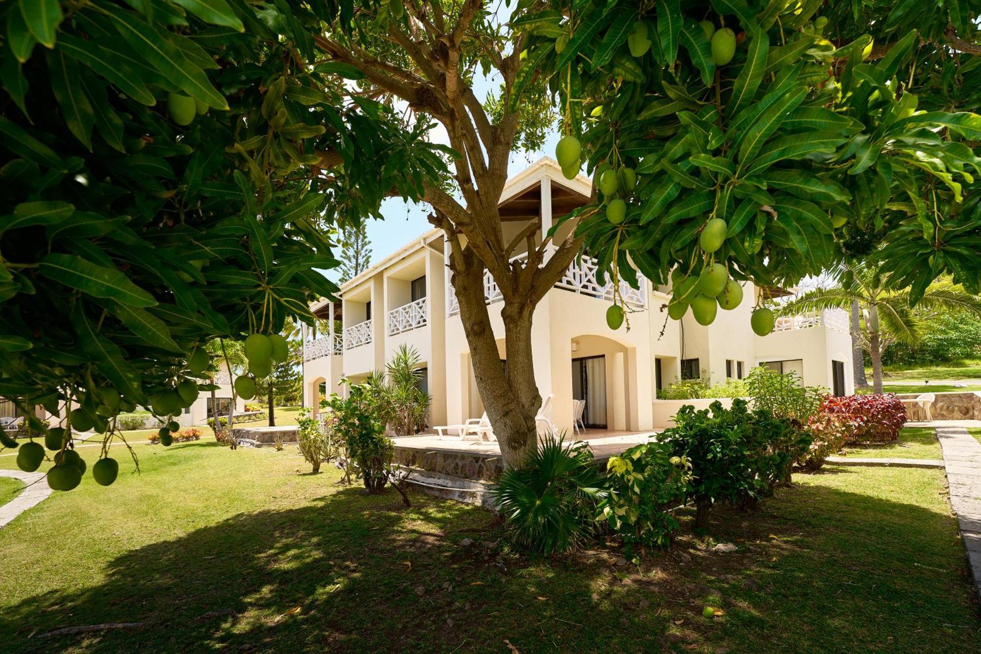 Mount Nevis Hotel Exteriör bild